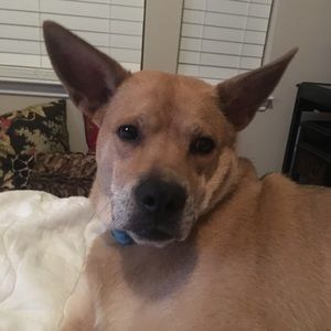 Meet your Posher, Blake